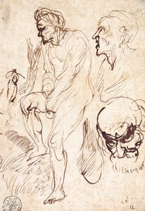 Studies after the Model by Jan the Elder Lievens